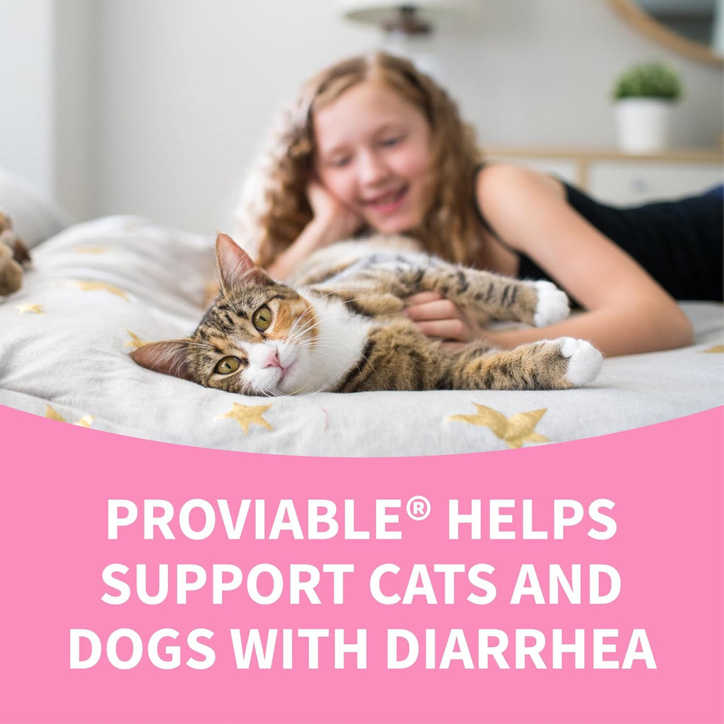 Nutramax Proviable Probiotics for Dogs and Cats, Daily Digestive Health Supplement with Multiple Strains of Bacteria, Cat and Dog Probiotics plus Prebiotics, 80 Capsules