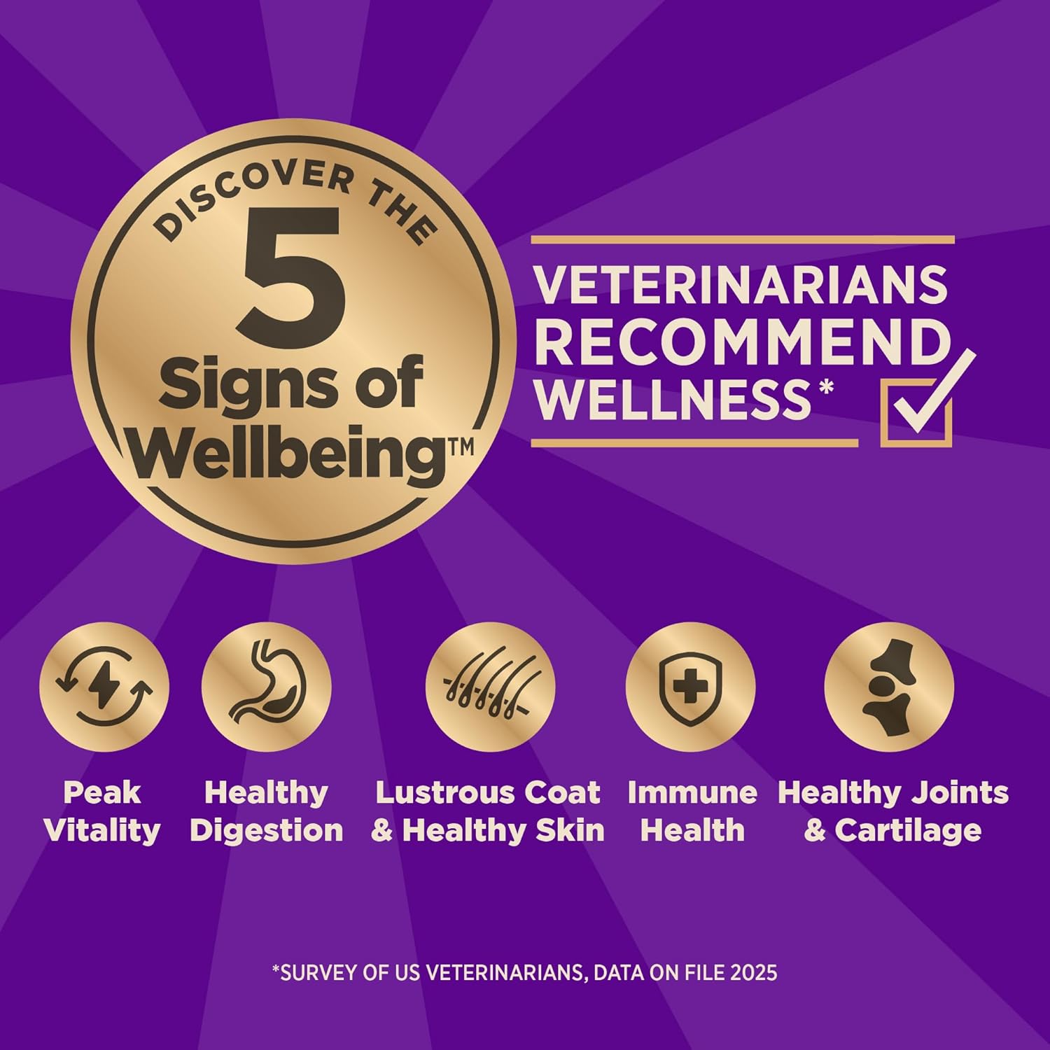 CORE+ Dry Dog Food with Freeze Dried Pieces, Wholesome Grains, High Protein, Natural, Beef & Barley Recipe, (18-Pound Bag)