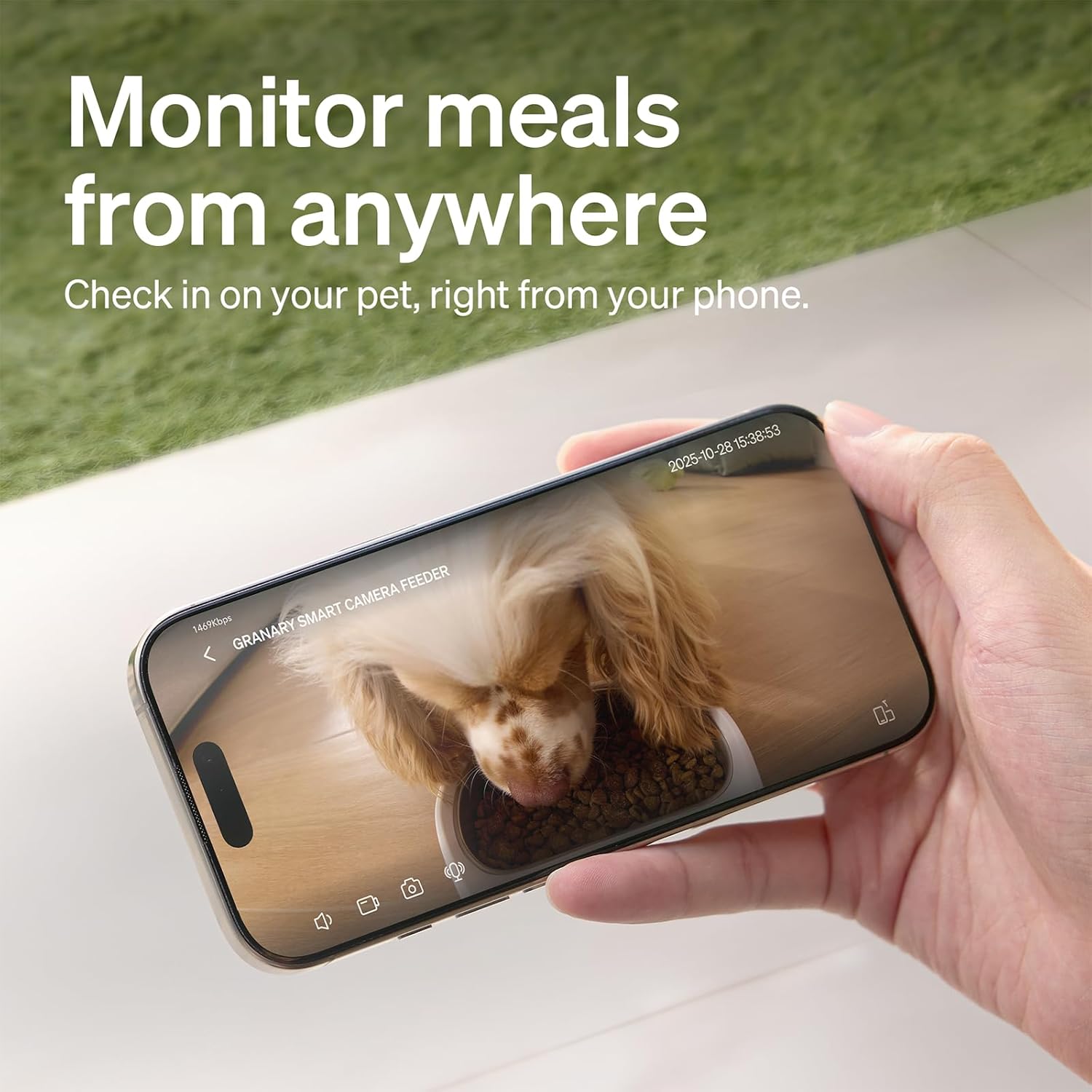 Automatic Cat Feeder with Camera, 1080P HD Video with Night Vision, 5G Wifi Pet Feeder with 2-Way Audio, Low Food & Blockage Sensor, Motion & Sound Alerts for Cat & Dog Single Tray