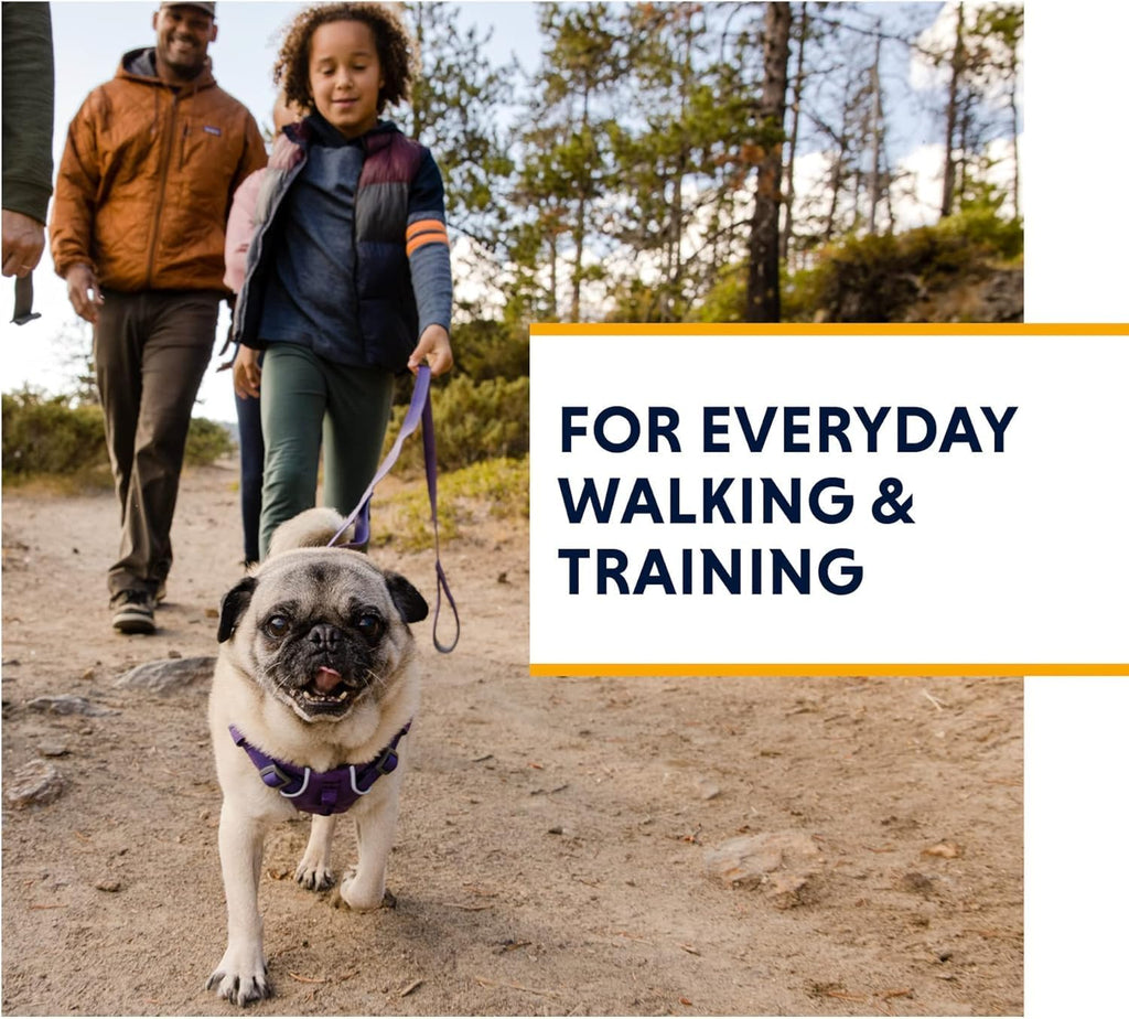 , Front Range Dog Harness, Reflective Soft Padded Everyday Harness with Dual Leash Clips, Adjustable and Lightweight Fit for Training or Walking for All Dogs, Purple Sage, Large/X-Large