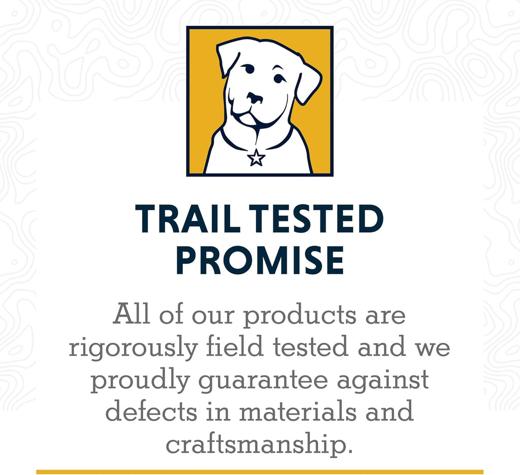 , Front Range Dog Leash, 5 Ft Lead with Padded Handle for Everyday Walking, Coastal Fade