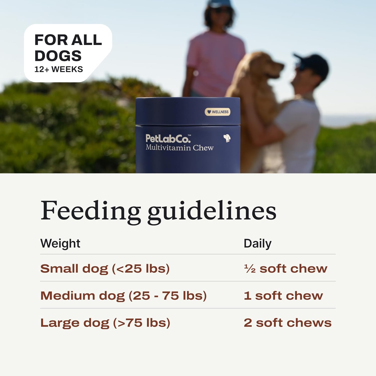 22 in 1 Dog Multivitamin - Support Dog'S Immune Response, Skin, Coat, Joints & Overall Health - Vitamins A, E, D, B12, Minerals, Antioxidants - Chewable Pork Flavor