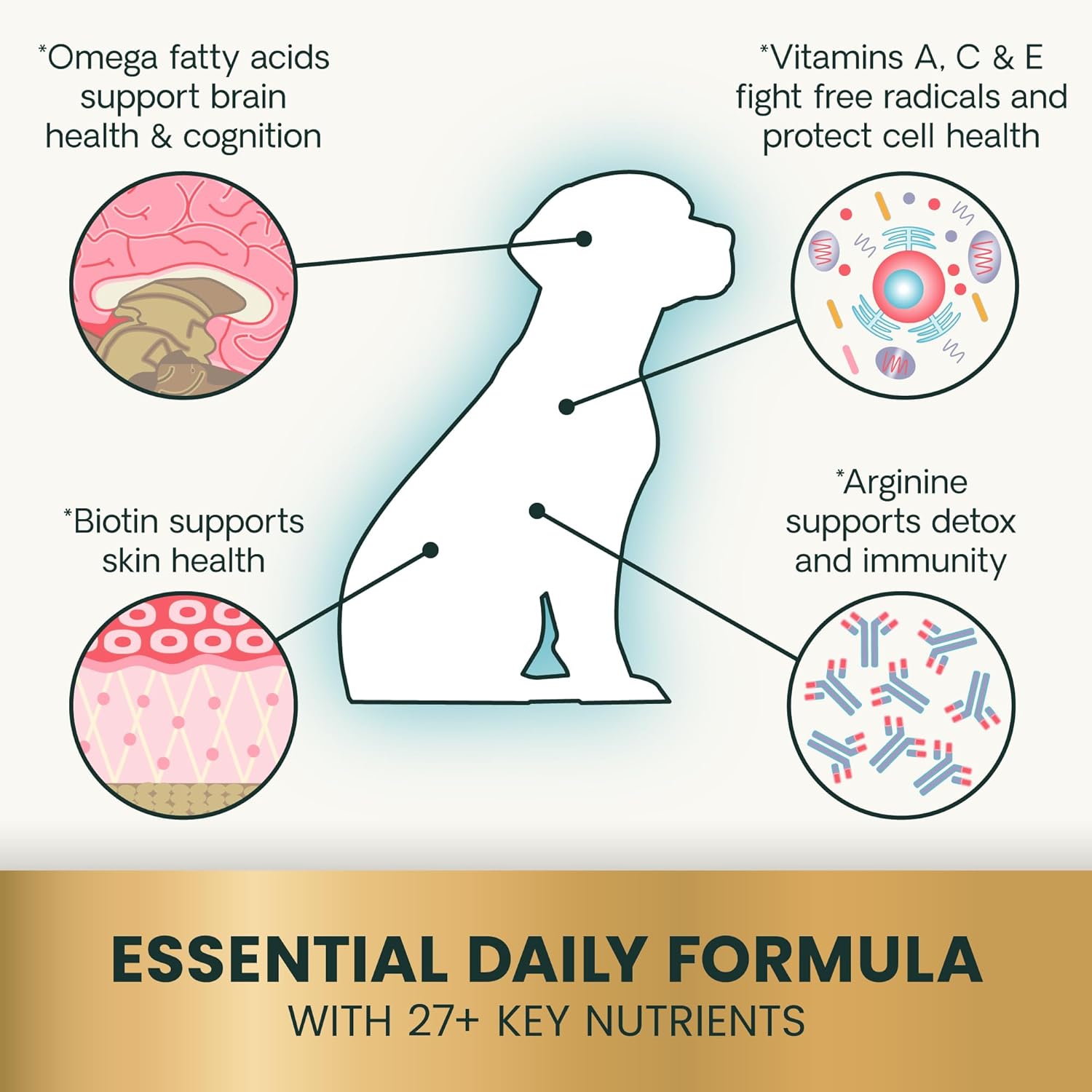 27+ Active Health Multivitamin for Dogs – Vet-Formulated Daily Tablets with Antioxidants, Omega Fatty Acids & B Vitamins,Supports Heart, Brain, Skin, Immune & Joint Health, Duck, 90 Count