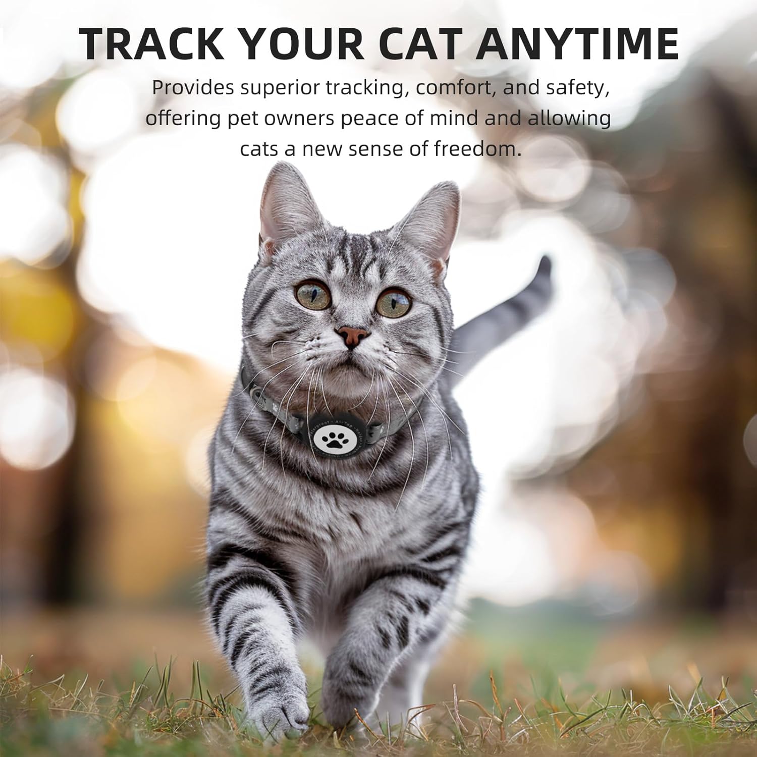 Waterproof Airtag Cat Collar, Reflective Cat Airtag Collar with Bell, Breakaway Cat Collar Airtag Holder, Lightweight Kitten Collar for Apple Air Tag, Cat GPS Collars for Girl Boy Cats, Kitten (Black)