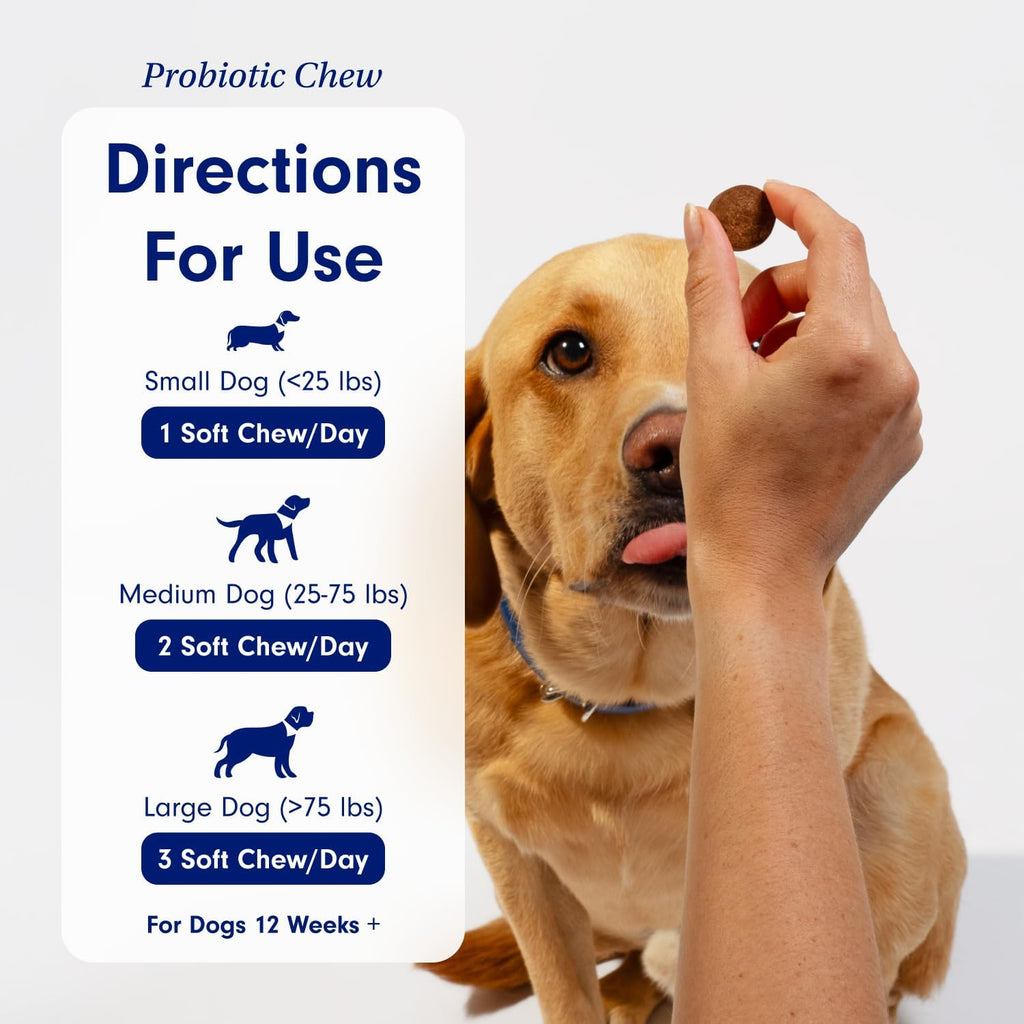 – Gut & Breath Bundle: Dental Powder for Fresh Breath in 1 Scoop. for Medium Dogs & Salmon Dog Probiotics to Support a Healthy Gut - Easy to Use – Innovative Formulas