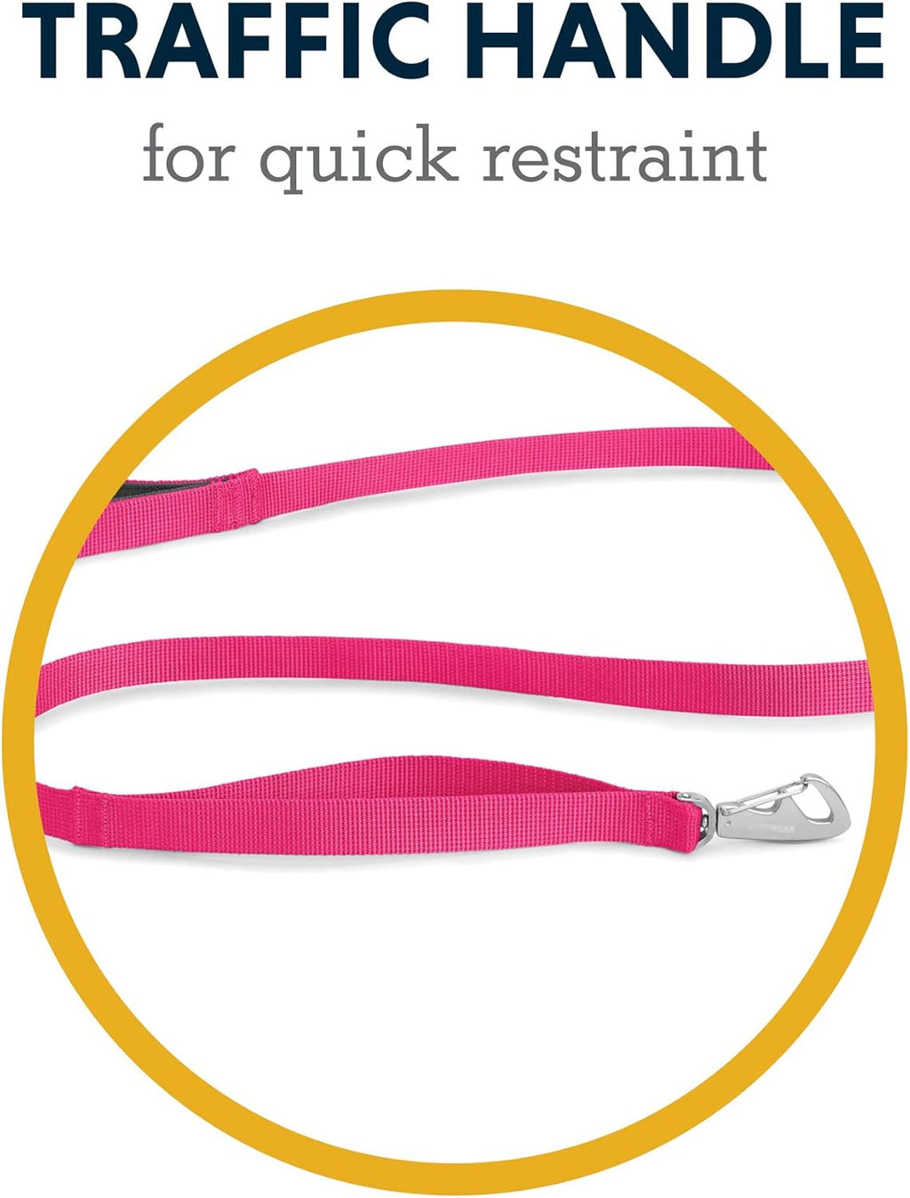 , Front Range Dog Leash, 5 Ft Lead with Padded Handle for Everyday Walking, Wildflower