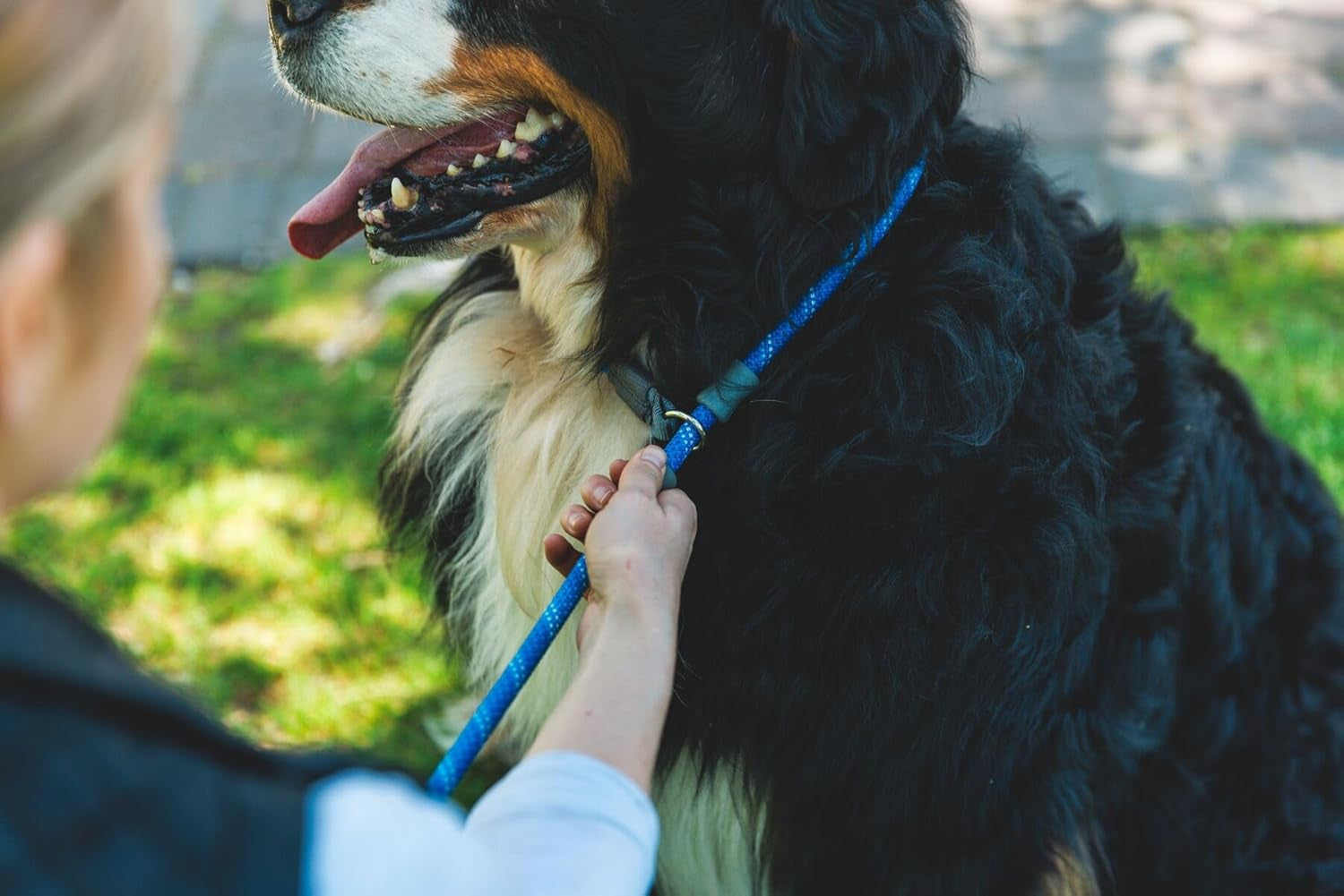 , Just‑A‑Cinch Slip Lead Dog Leash, 5 Ft Reflective Rope with Adjustable Silicone Stoppers, Collar‑Free Cinch Design, Tubular Webbing Handle, Accessory Loop, Obsidian Black