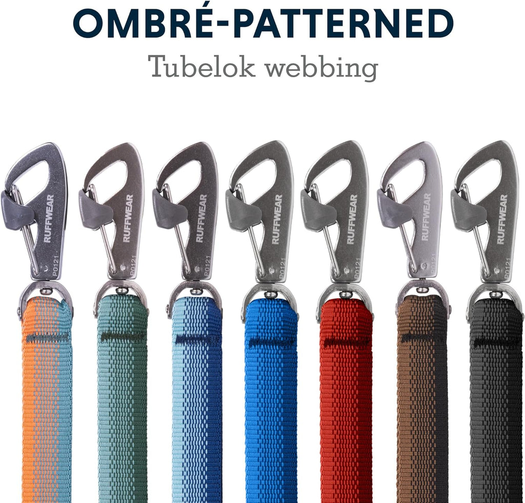 , Front Range Dog Leash, 5 Ft Lead with Padded Handle for Everyday Walking, Coastal Fade