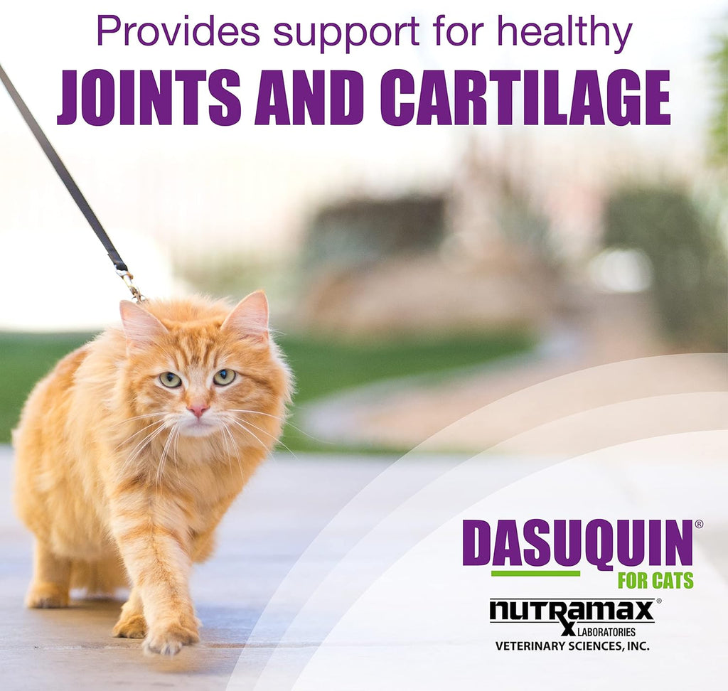 Dasuquin Joint Health Supplement for Cats - with Glucosamine, Chondroitin, ASU, Boswellia Serrata Extract, and Green Tea Extract, 84 Capsules