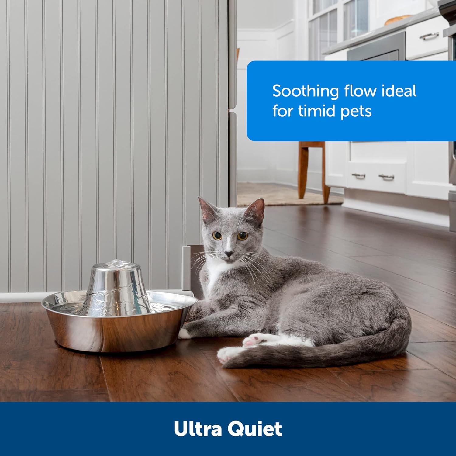 Seaside Stainless Pet Fountain - Encourages Hydration - Dual Filtration Removes Odors - Compact Design - Rust Resistant Material - Quiet Motor -