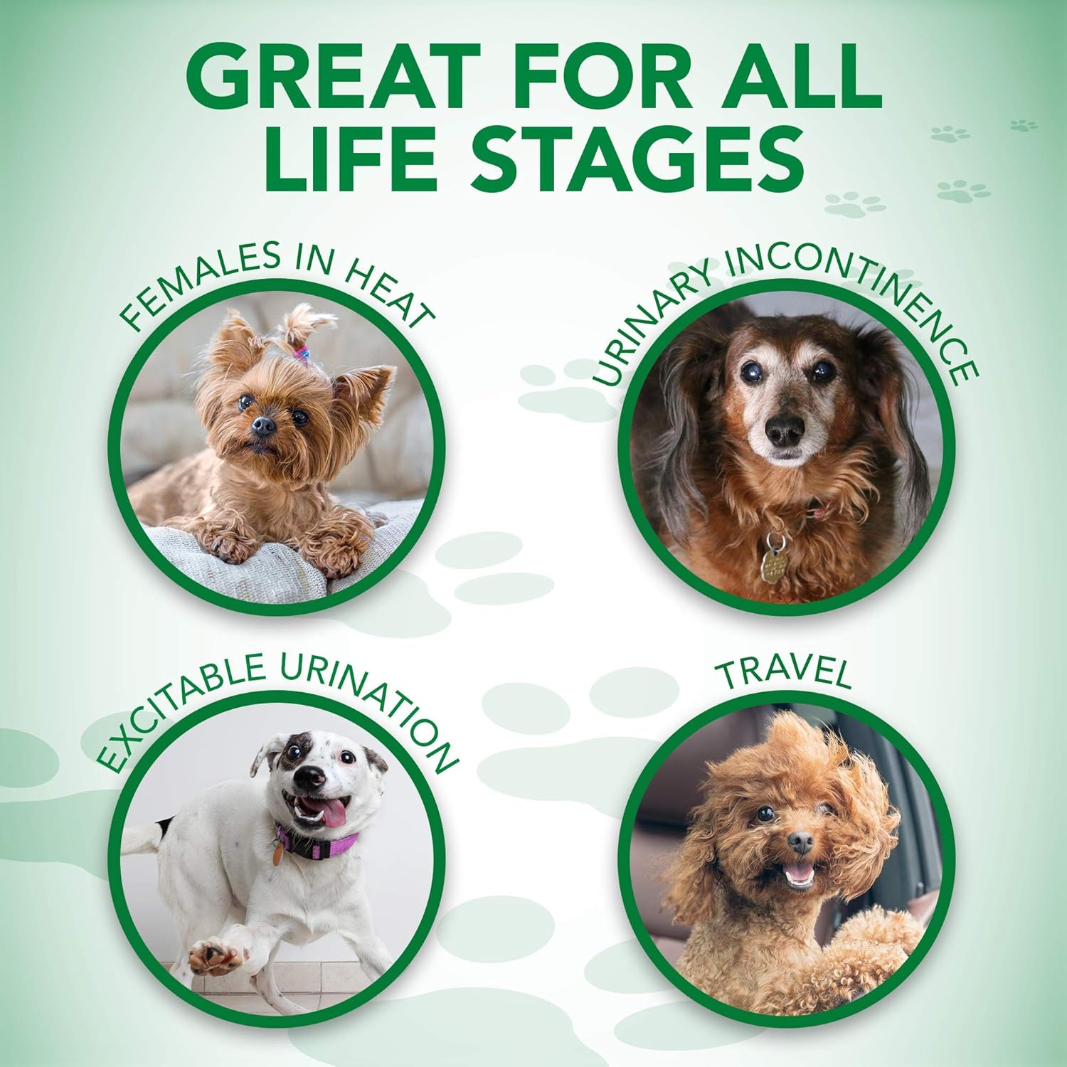 Comfort Fit Dog Diapers - Disposable Female Dog Diapers - Absorbent with Leak Proof Fit - Large/X-Large, 30 Count