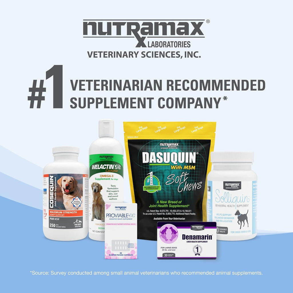 Nutramax Laboratories Calming Behavioral Health Supplement for All Dogs over 8Lbs - with L-Theanine, Magnolia/Phellodendron, and Whey Protein Concentrate, 60 Chewable Tablets