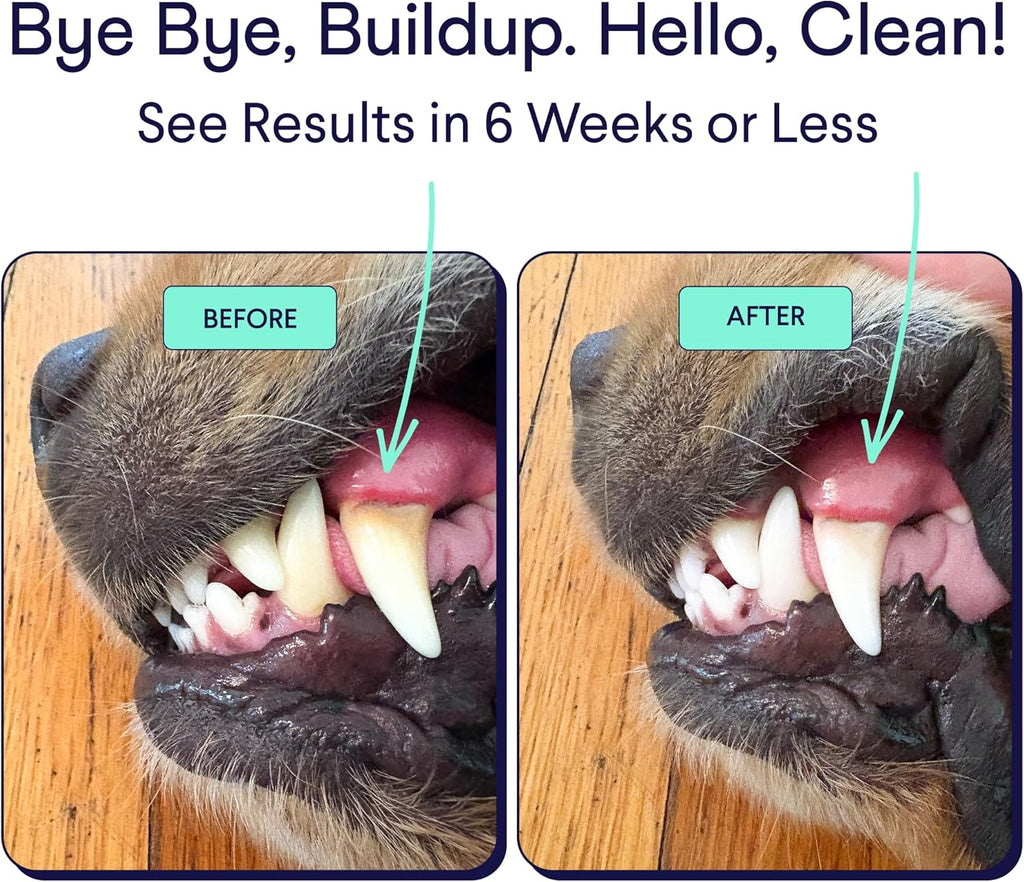 Dental Powder for Dogs | Targets Plaque, Tartar & Bad Breath