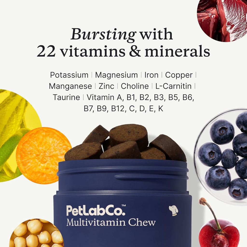 22 in 1 Dog Multivitamin - Support Dog'S Immune Response, Skin, Coat, Joints & Overall Health - Vitamins A, E, D, B12, Minerals, Antioxidants - Chewable Pork Flavor