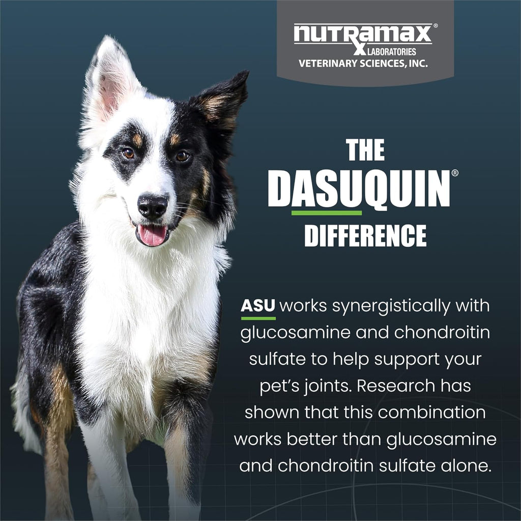 Nutramax Dasuquin for Small to Medium Dogs, Joint Health Supplement, Contains Glucosamine for Dogs, plus Chondroitin, ASU and More, Supports Healthy Joints, Chewable Tablets, 150 Count