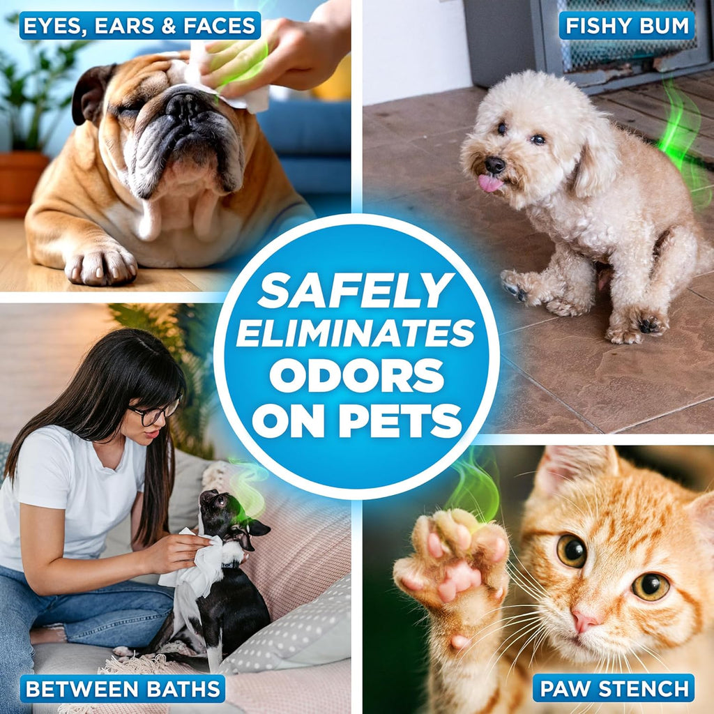 ® Pure Wipes™ – 100 Count Pack – Gentle, Fast Odor-Elimination – NO Fragrances, NO Harsh Chemicals – Cleans Paws, Butt, Ears, Face, Fur – Perfect for Cars, Crates, All Surfaces