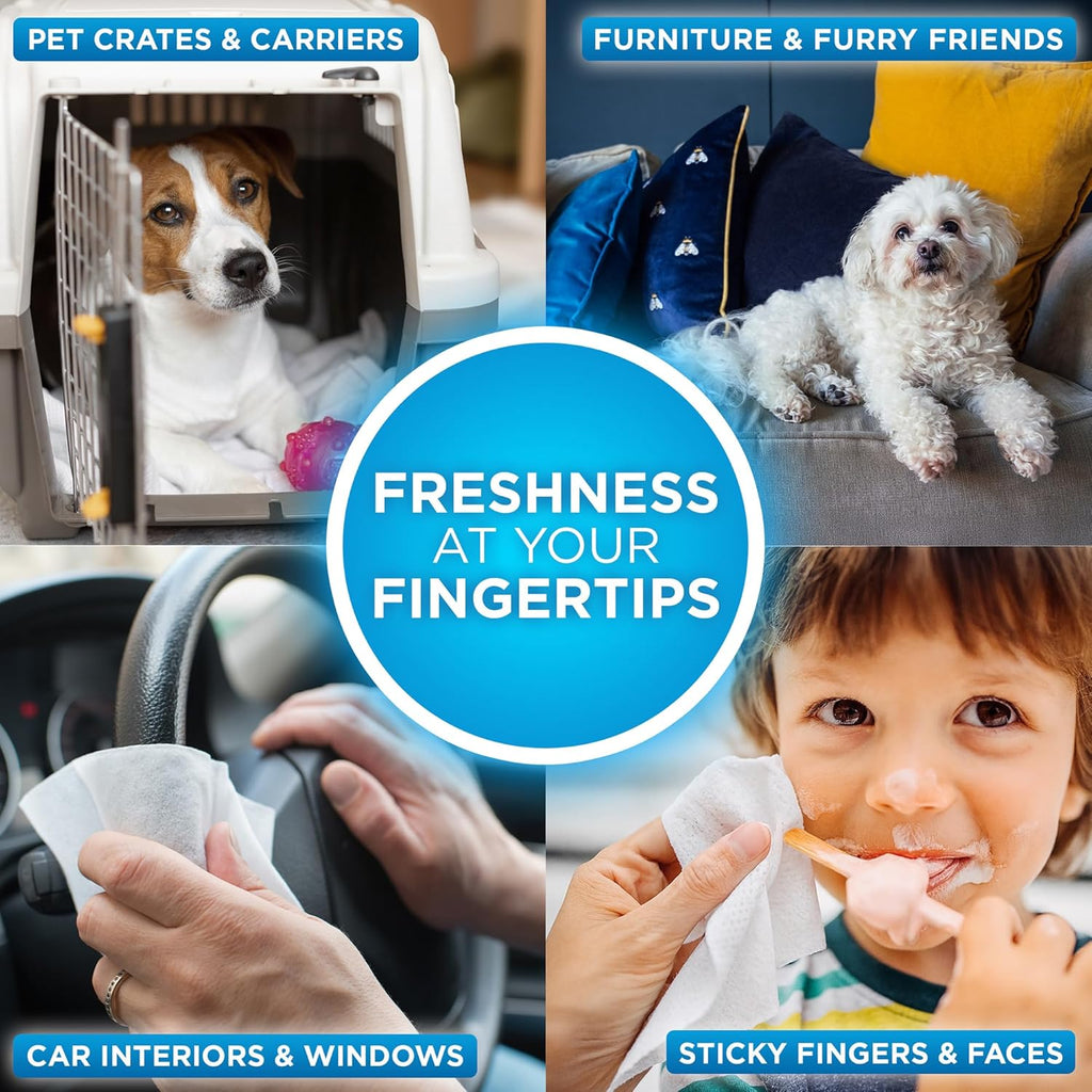 ® Pure Wipes™ – 100 Count Pack – Gentle, Fast Odor-Elimination – NO Fragrances, NO Harsh Chemicals – Cleans Paws, Butt, Ears, Face, Fur – Perfect for Cars, Crates, All Surfaces