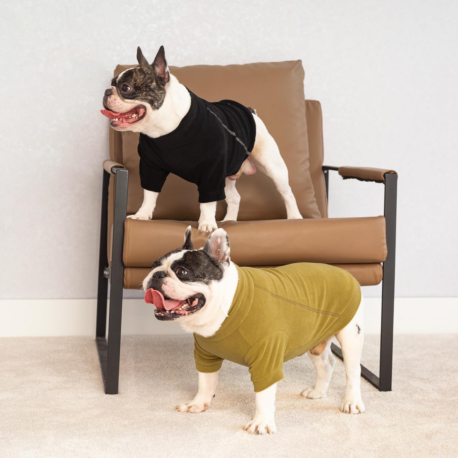 3 Pack Classic Fleece Dog Sweater, Winter Clothes for Small Dogs Boy Girl, Turtleneck Dog Sweatshirt, Pet Pullover Jumper, Cat Apparel, Black, Olive Green, Cream, Large