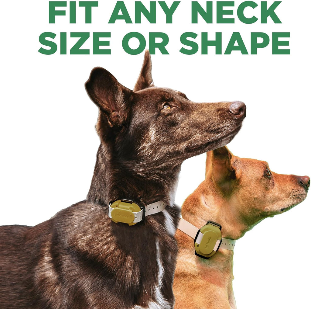 CUE Gen 2 Tan – Customizable E-Collar for Dogs Training Collar with Remote – Easy, Safe, Beginner-Friendly Design – 99 Levels, Vibration, Boost, Waterproof, Rechargeable, 400-Yard Range