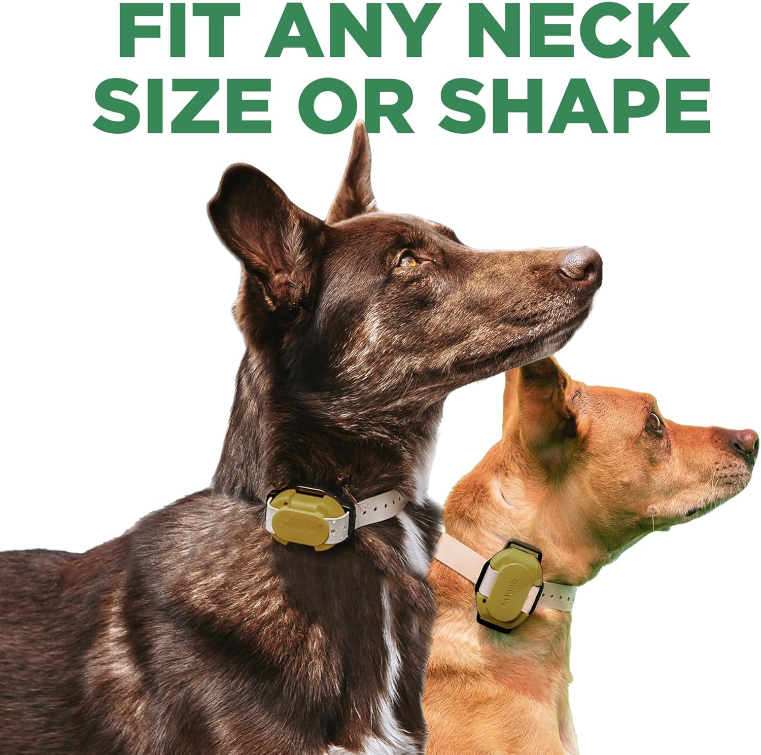 CUE Gen 2 Tan – Customizable E-Collar for Dogs Training Collar with Remote – Easy, Safe, Beginner-Friendly Design – 99 Levels, Vibration, Boost, Waterproof, Rechargeable, 400-Yard Range