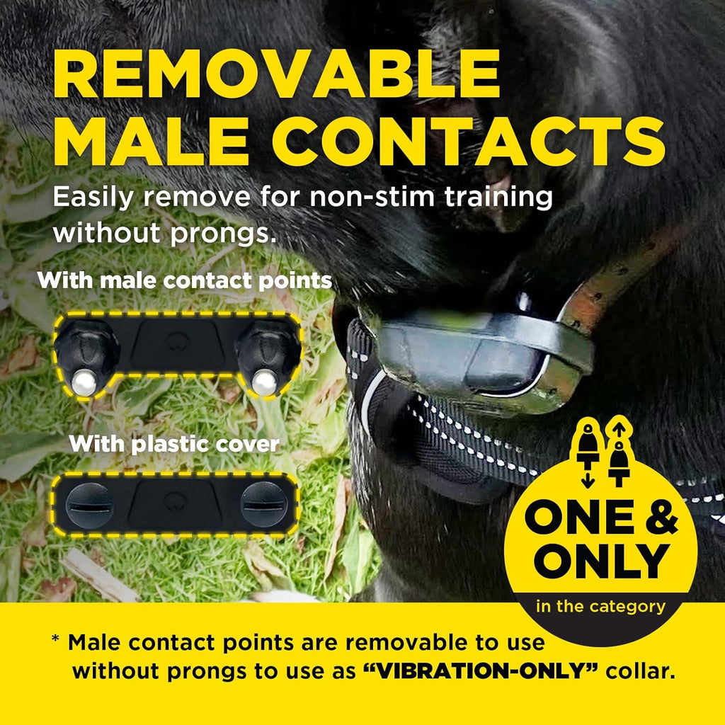 280X E-Collar with Remote [New Edition] 10 Lbs+, 1/2 Mile Range, LED Light, 100 Levels of Precise Control for Stubborn Dogs, Waterproof, Boost for Quick Recall, Vibration, Safety Lock & Tone