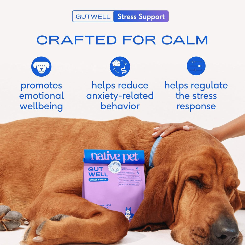 Gutwell Stress Support - Dog Anxiety Relief & Calming Treats - Tasty Food Topper for Dog Stress and Anxiety Relief - Support Gut-Brain Axis with Triple-Biotic Blend & Magnesium - 60 Scoops