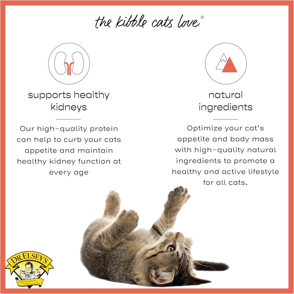 Cleanprotein Salmon Formula Dry Cat Food, 6.6 Lb