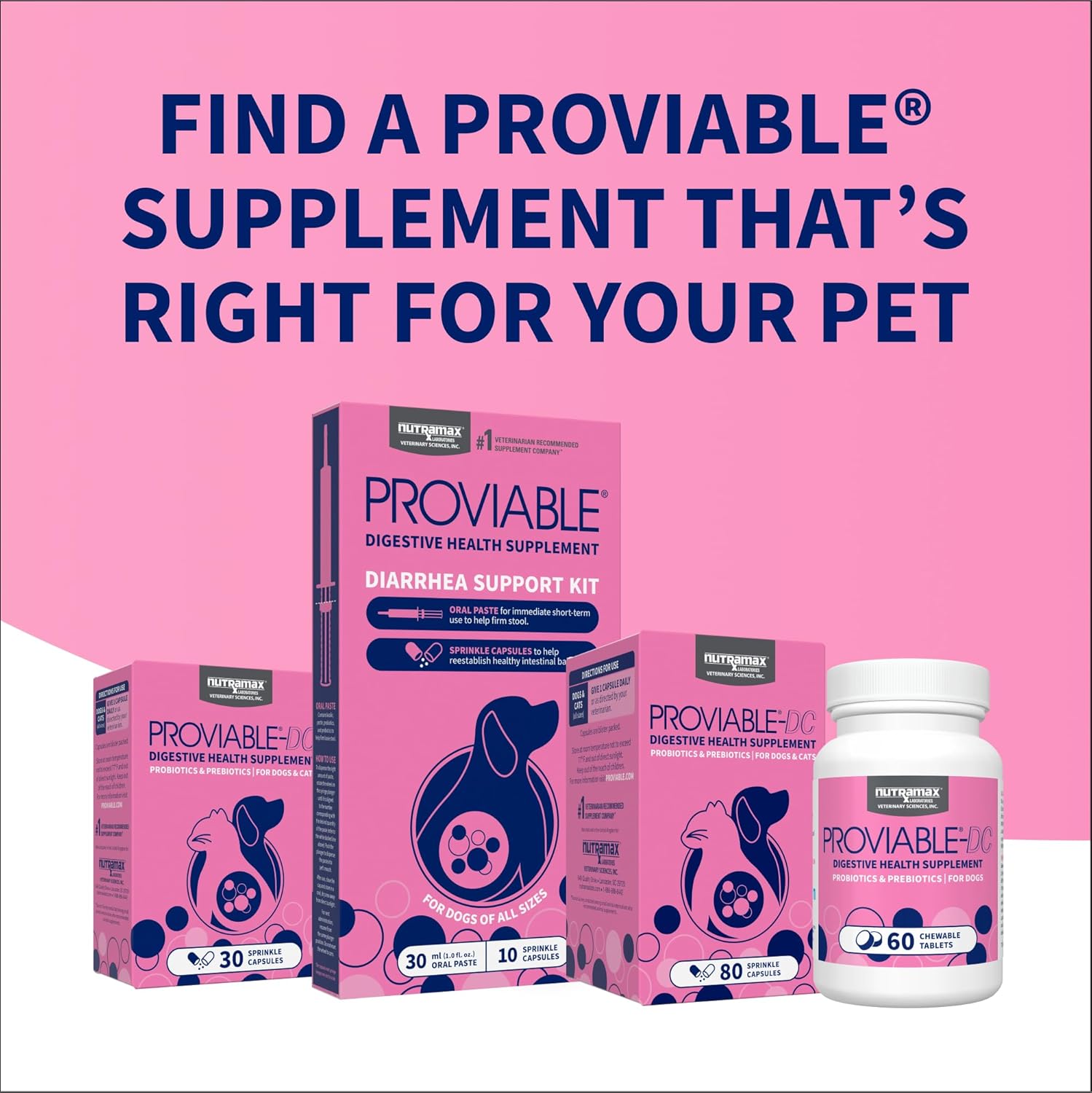 Nutramax Proviable Probiotics for Dogs and Cats, Daily Digestive Health Supplement with Multiple Strains of Bacteria, Cat and Dog Probiotics plus Prebiotics, 80 Capsules