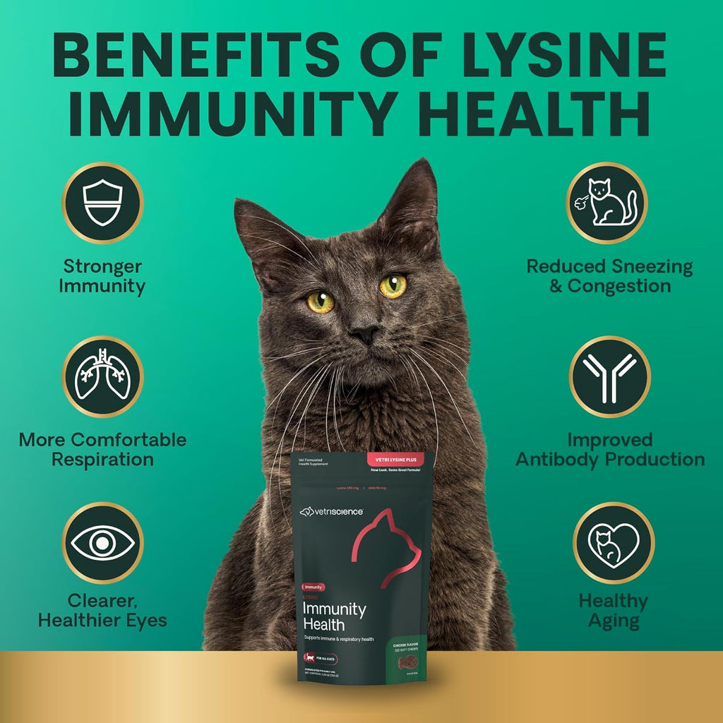 Lysine Immunity Health Chews, 250 Mg Lysine plus Immune Supplement for Cats and Kittens with Allergies, Sneezing, Runny Nose and Watery Eyes, Chicken, 120 Count
