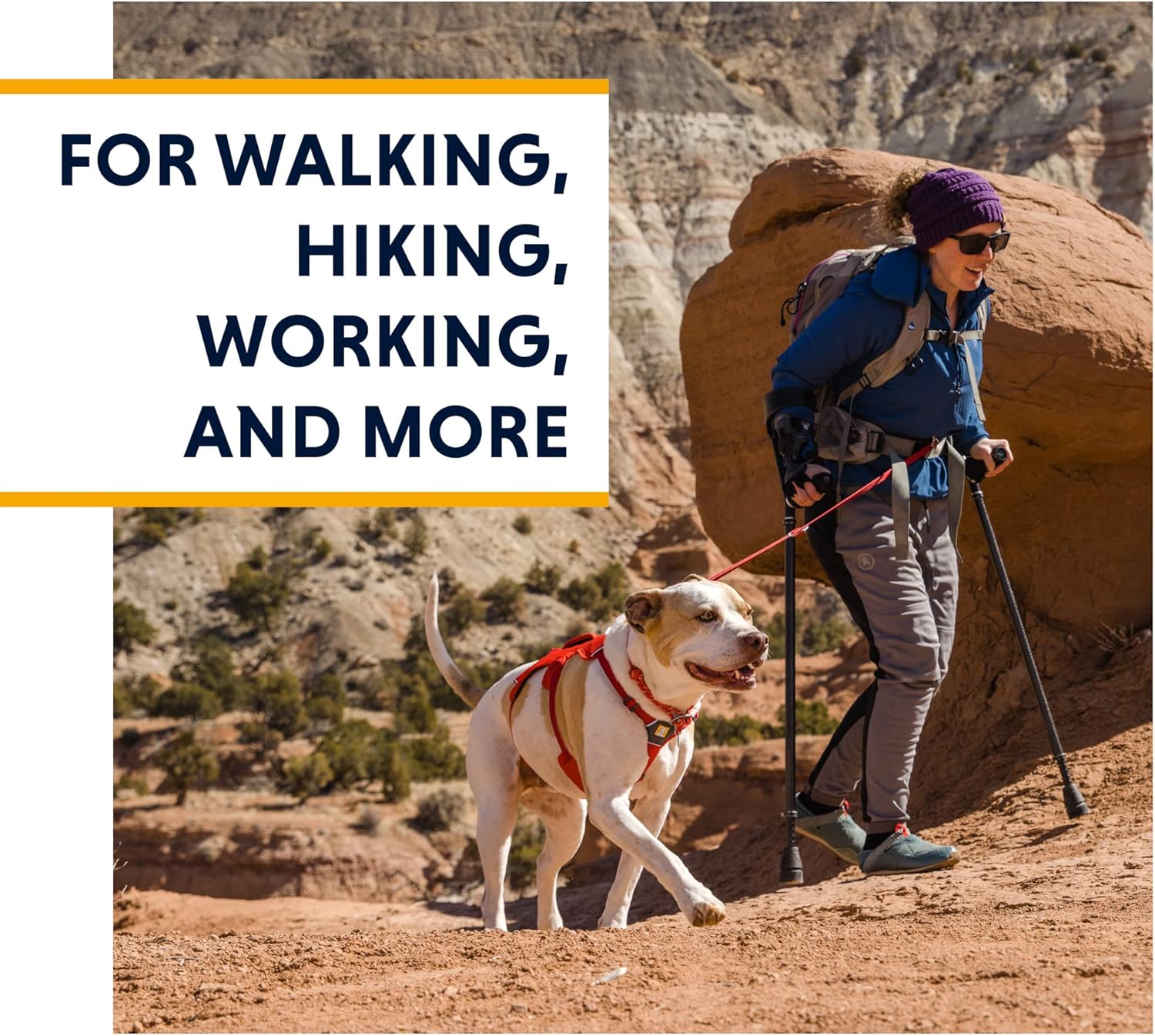 , Web Master, Multi-Use Support Dog Harness, Hiking and Trail Running, Service and Working, Everyday Wear, Purple Rain, Xx-Small