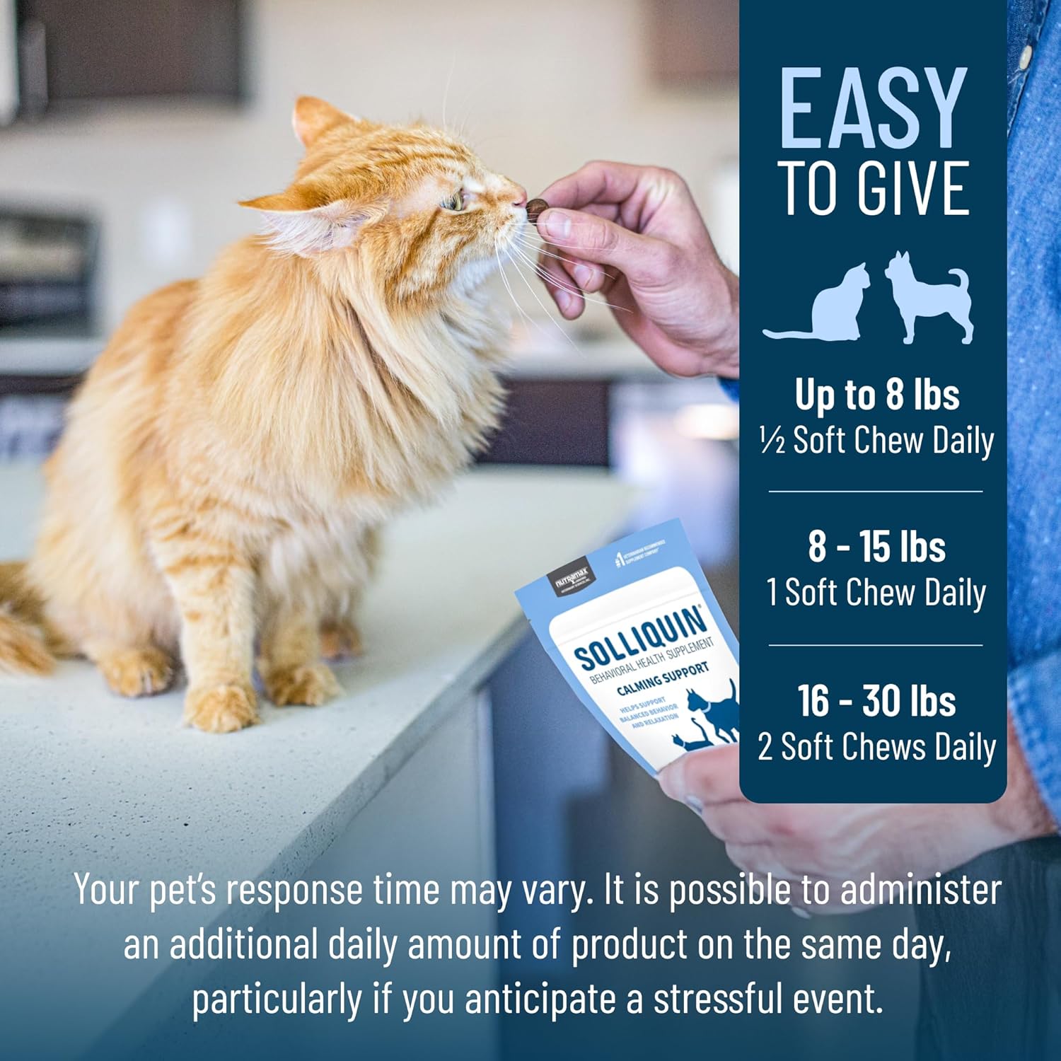 Solliquin Calming Behavioral Health Supplement for Small to Medium Dogs and Cats - with L-Theanine, Magnolia / Phellodendron, and Whey Protein Concentrate, 75 Soft Chews