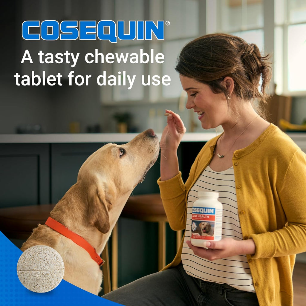 Nutramax Cosequin for Dogs Joint Health Supplement, Contains Glucosamine for Dogs, plus Chondroitin and MSM, Supports Healthy Joints, Chewable Tablets, 250 Count