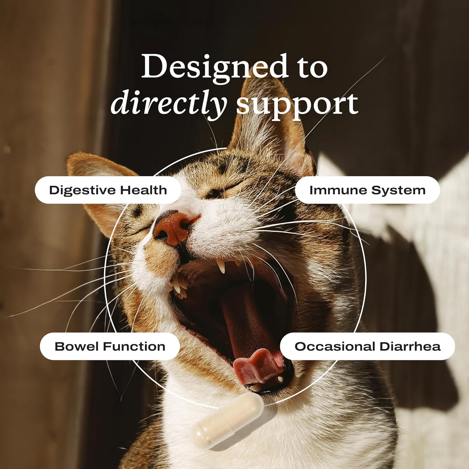 Probiotics for Cats, Support Gut Health, Occasional Diarrhea, Digestive Health & Immune Support - Easy to Use - 30 Count