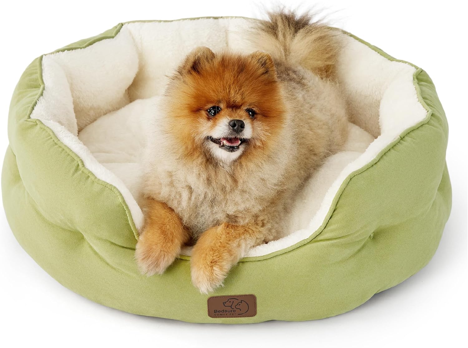 Dog Beds for Small Dogs - round Cat Beds for Indoor Cats, Washable Pet Bed for Puppy and Kitten with Slip-Resistant Bottom, 20 Inches, Green