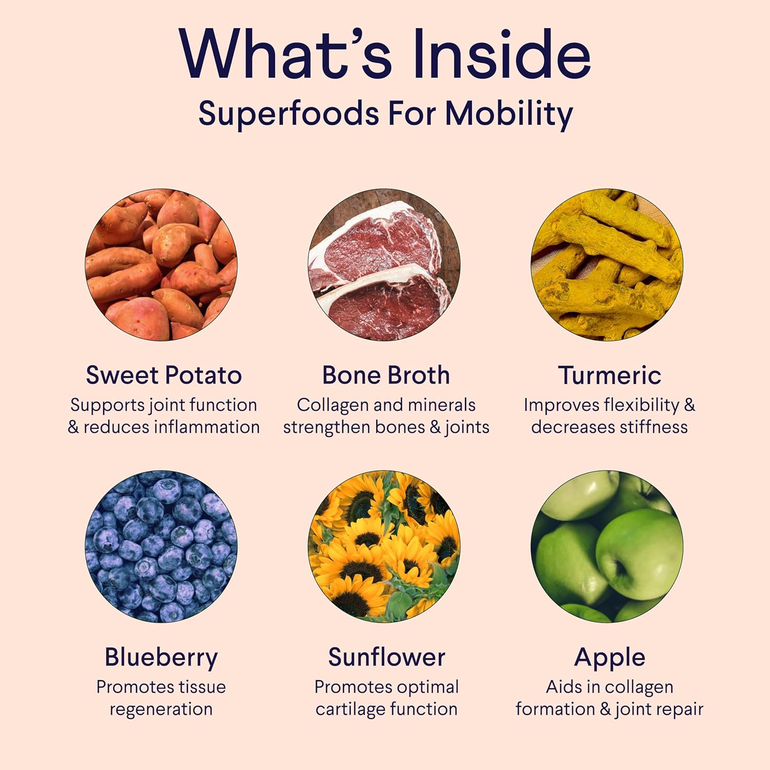 Bone Broth plus for Dogs | Joint & Mobility Topper Packed with Collagen & Amino Acids | Only 6 Ingredients | Powdered Meal Topper for Dogs