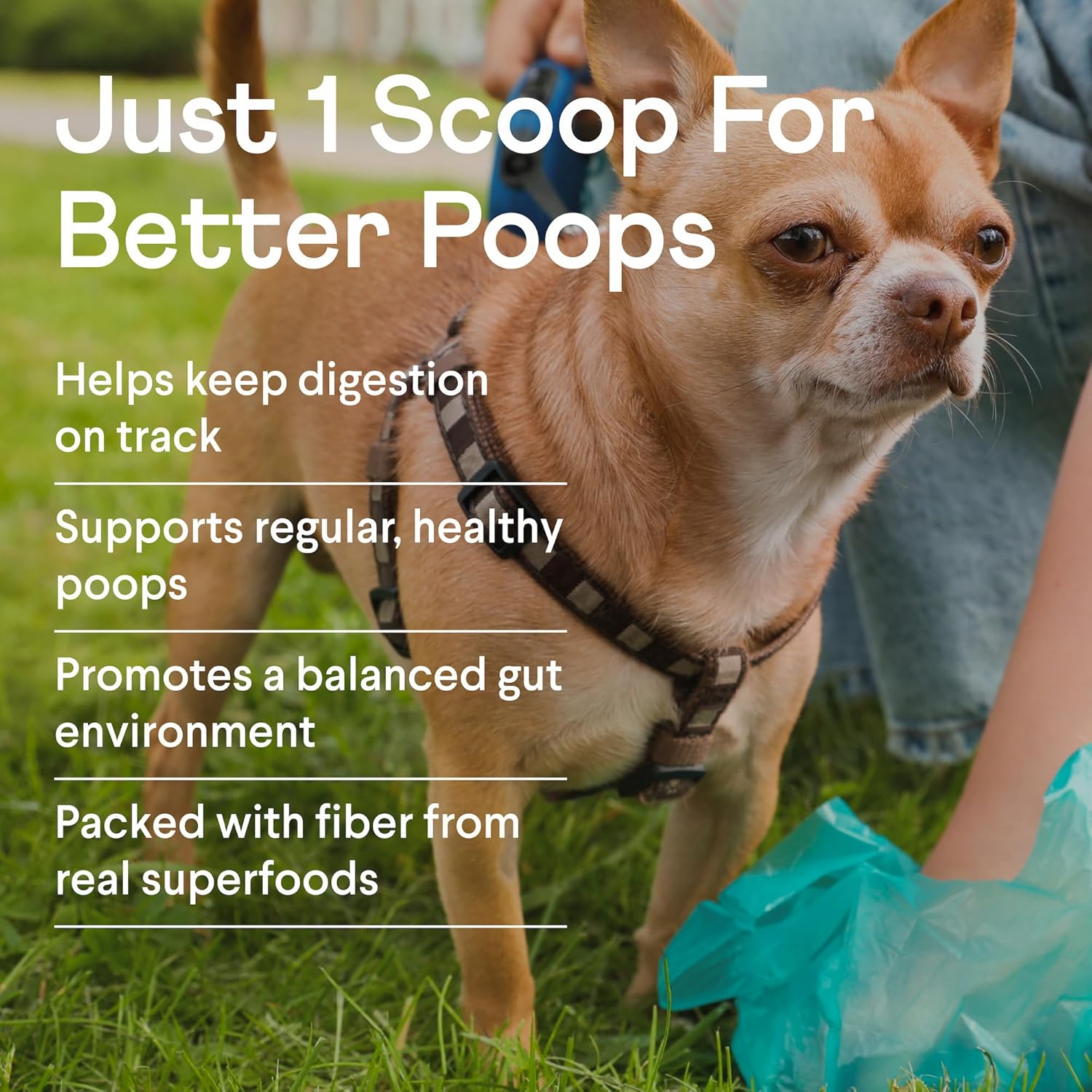 Pumpkin Plus: Daily Digestive Support & Fiber-Rich Topper for Dogs | Promotes Regularity & Gut Health with Superfoods
