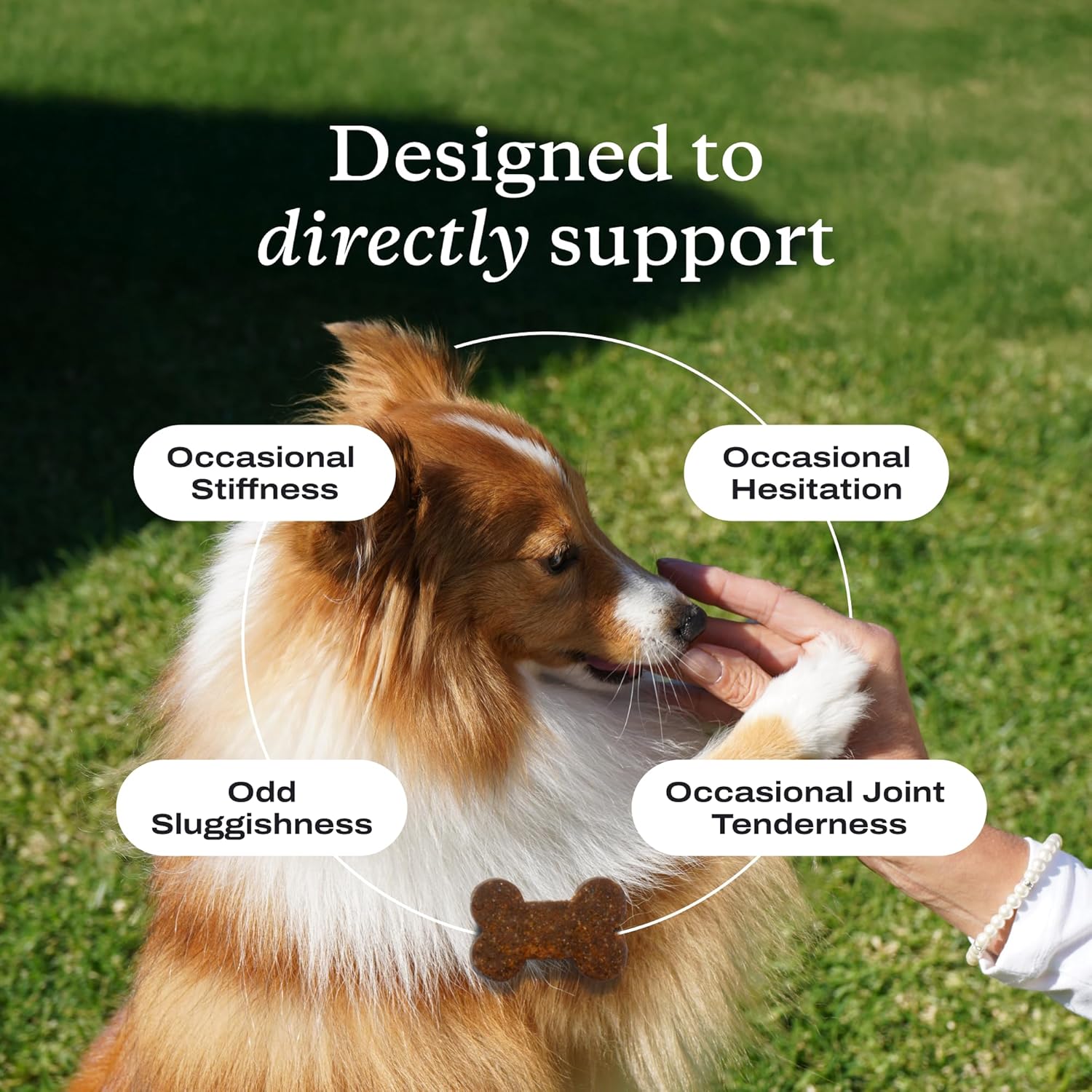 – Mobility & Gut Health Bundle: Dog Probiotic for Gut Health, Healthy Yeast Production, & Seasonal Allergies 30 Count & Joint Supplement for Dogs Supporting Mobility & Occasional Stiffness