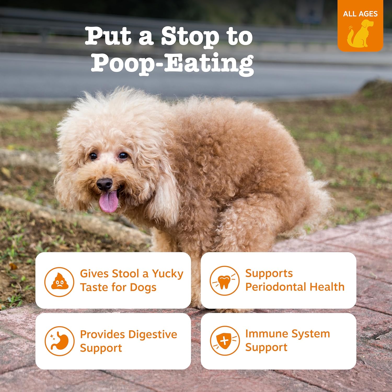 Chew No Poo Bites for Dogs - Coprophagia Relief - Stool Eating Deterrent Soft Chews for Dogs - Gut, Periodontal & Immune System Support with Probiotics - Chicken - 90 Ct