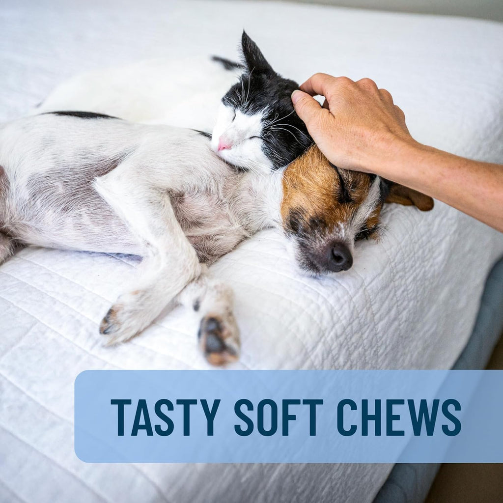 Solliquin Calming Behavioral Health Supplement for Small to Medium Dogs and Cats - with L-Theanine, Magnolia / Phellodendron, and Whey Protein Concentrate, 75 Soft Chews