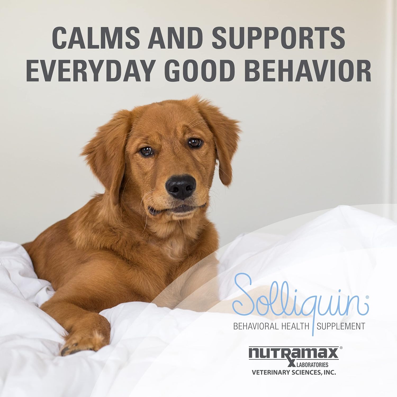Nutramax Laboratories Calming Behavioral Health Supplement for All Dogs over 8Lbs - with L-Theanine, Magnolia/Phellodendron, and Whey Protein Concentrate, 60 Chewable Tablets
