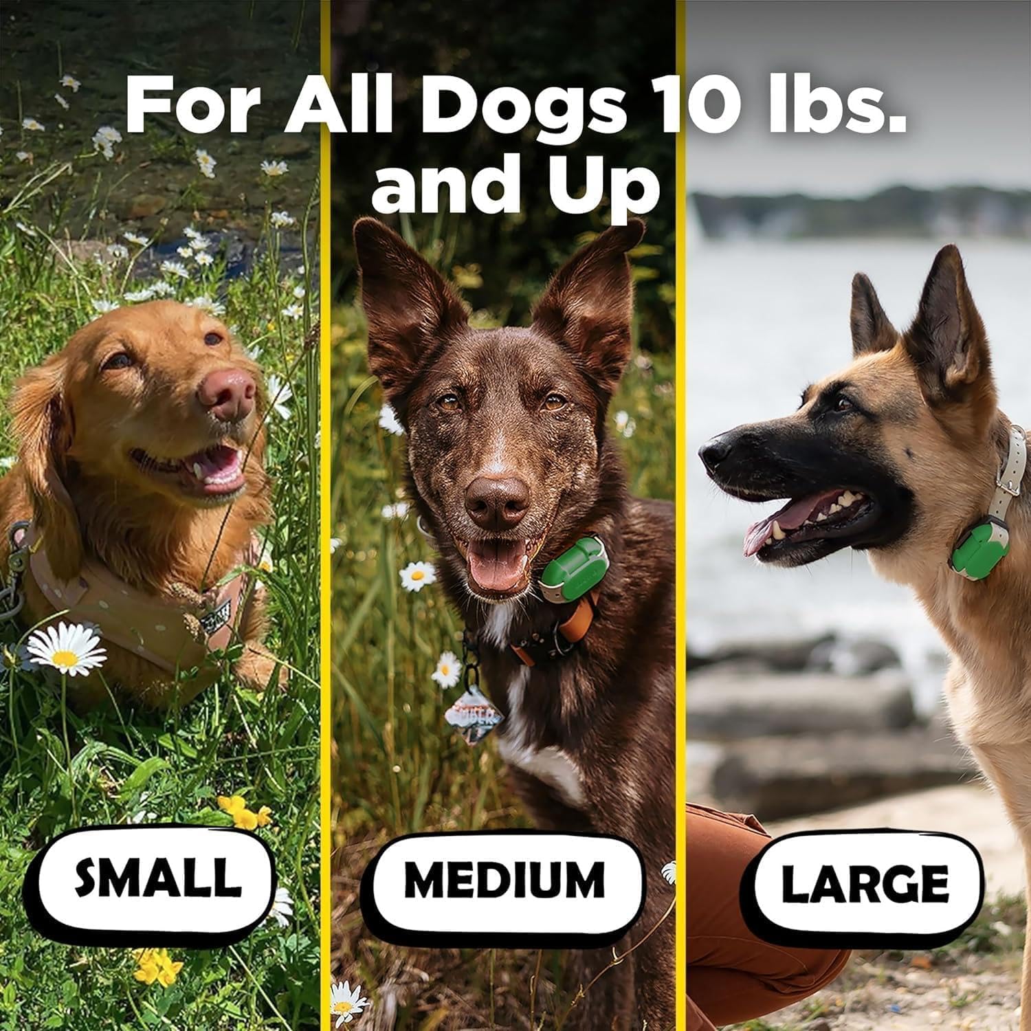 CUE Green – E-Collar for Dogs Training Collar with Remote – Training Made Easy for Everyday Dog Owners – Gentle Vibration, Custom Boost, Waterproof, Rechargeable, 400-Yard Range System