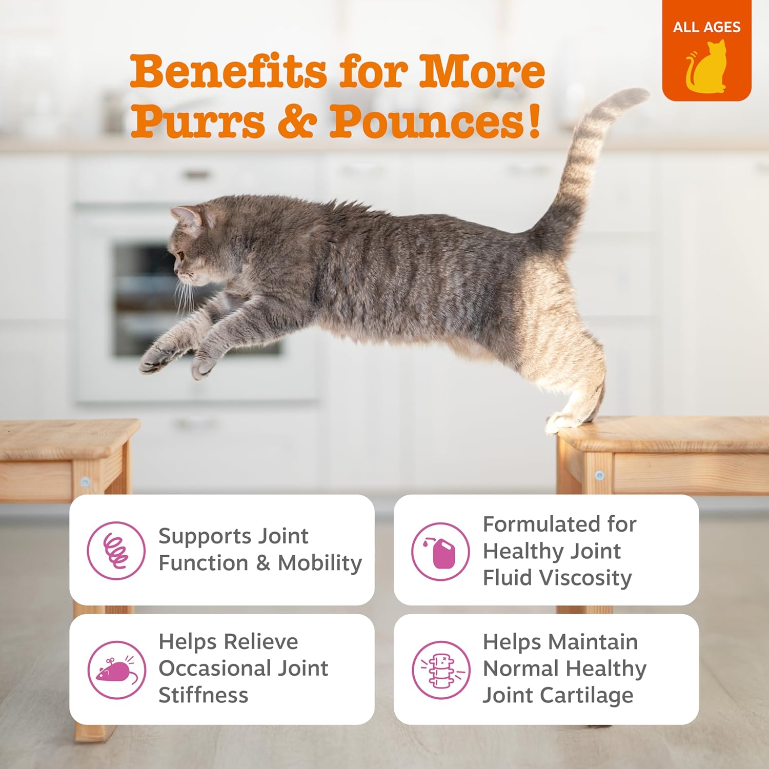 Hip & Joint Bites for Cats - Glucosamine for Cats - with Chondroitin, Turmeric - Cat Joint Supplement for Hip & Joints - Alaskomega Fish Oil with Omega-3 Fatty Acids - 60 Count