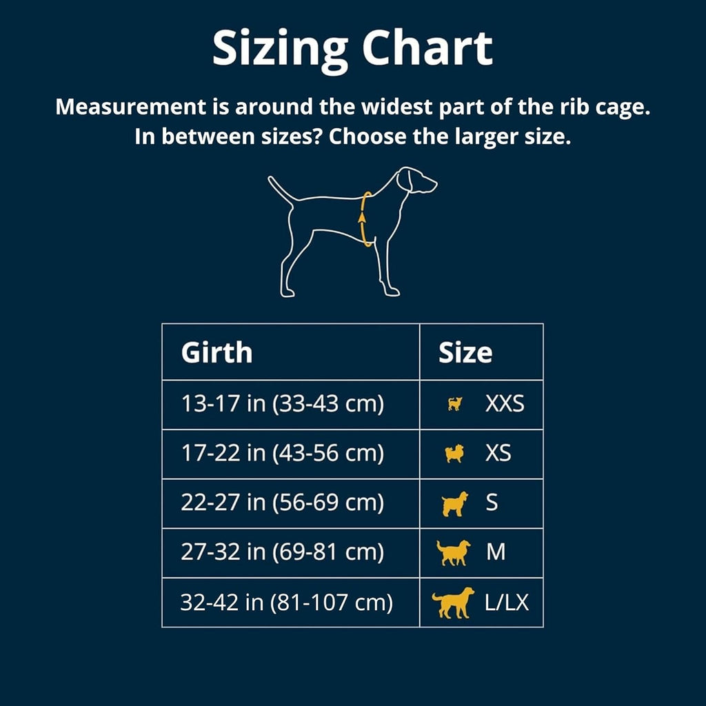 , Front Range Dog Harness, Reflective Soft Padded Everyday Harness with Dual Leash Clips, Adjustable and Lightweight Fit for Training or Walking for All Dogs, Spring Mountains, Large/X-Large