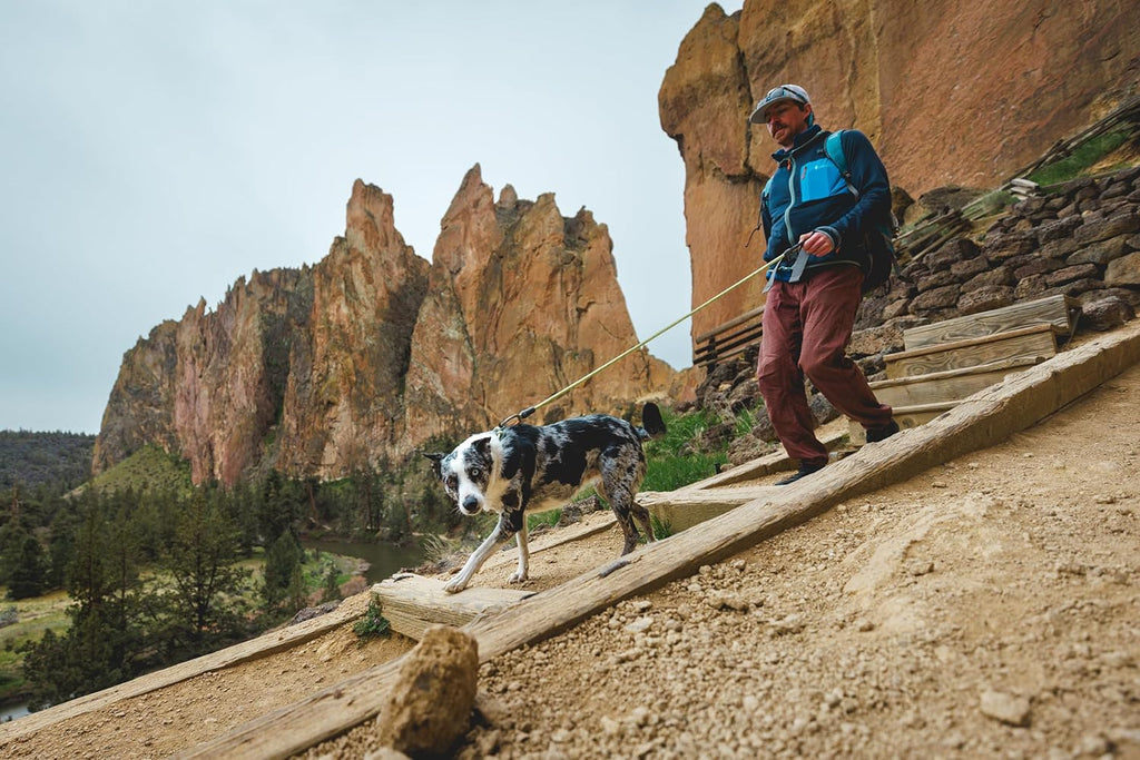 , Knot‑A‑Leash, Climbing‑Inspired Rope Leash, 5 Ft Reflective Rope, Secure Auto‑Locking Swivel Carabiner, Tubular Handle, Accessory Loop for Pick‑Up Bags, Obsidian Black, Small