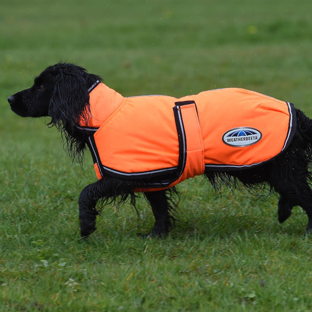 Comfitec Reflective Parka 300D Deluxe Dog Coat, Orange, 30"