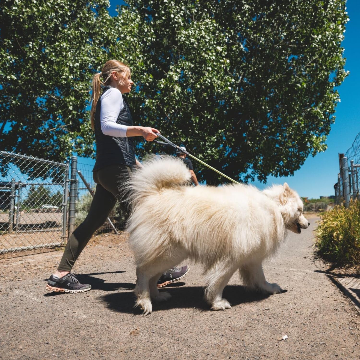 , Knot-A-Long Dog Leash, 30-Inch Short Rope Lead, Blue Pool