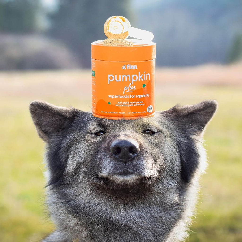 Pumpkin Plus: Daily Digestive Support & Fiber-Rich Topper for Dogs | Promotes Regularity & Gut Health with Superfoods