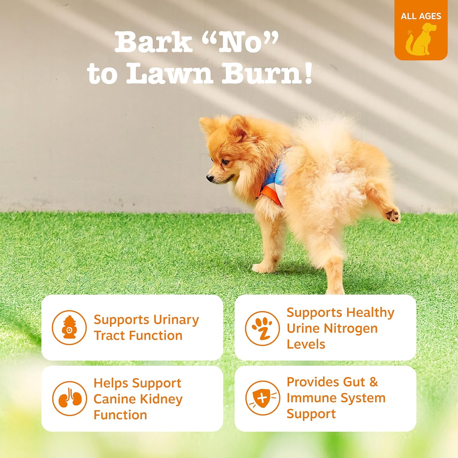 Stay Green Bites for Dogs - Grass Burn Soft Chews for Lawn Spots Caused by Dog Urine - with Cranberry for Urinary Tract & Bladder - Beef - 90 Count