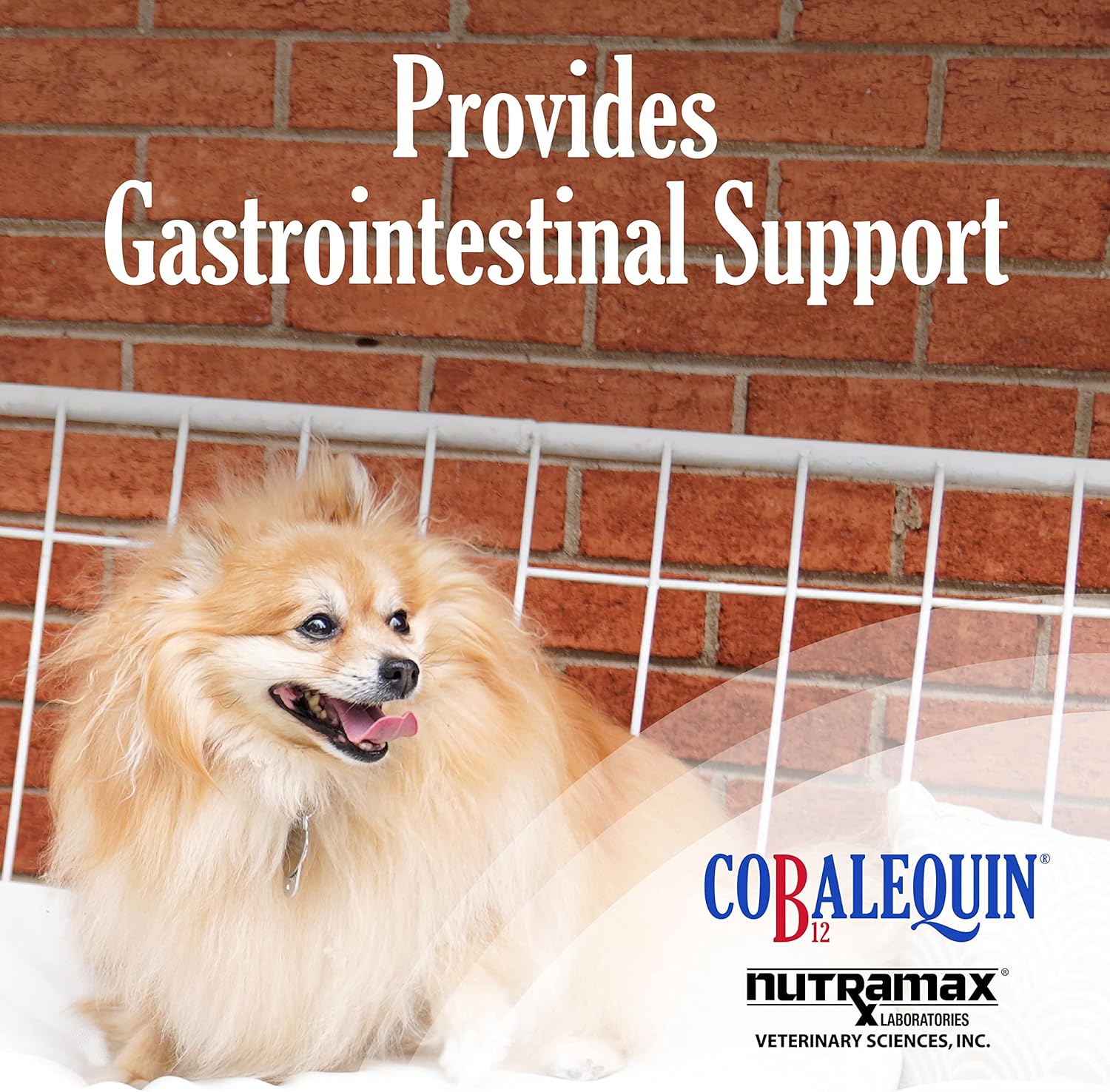 Cobalequin B12 Supplement for Cats and Small Dogs, 45 Count (Pack of 1)