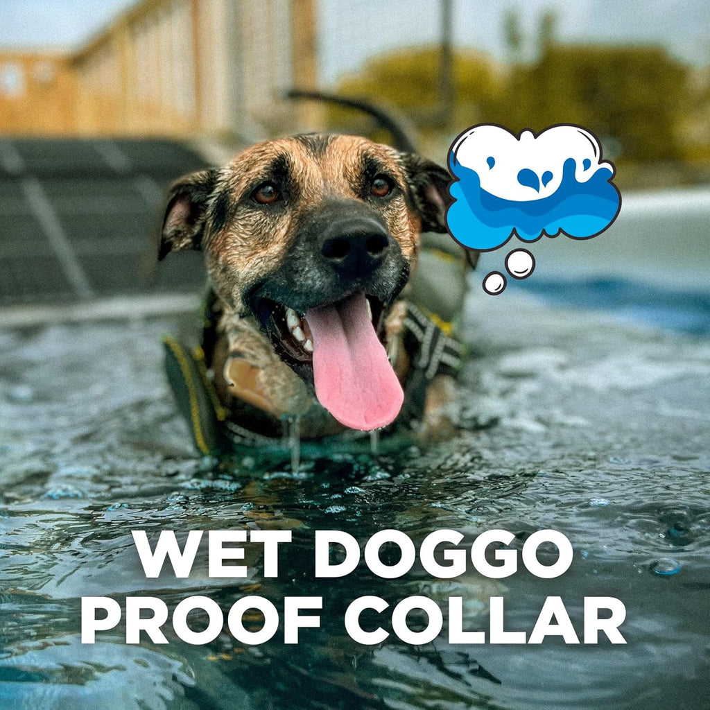 CUE Green – E-Collar for Dogs Training Collar with Remote – Training Made Easy for Everyday Dog Owners – Gentle Vibration, Custom Boost, Waterproof, Rechargeable, 400-Yard Range System